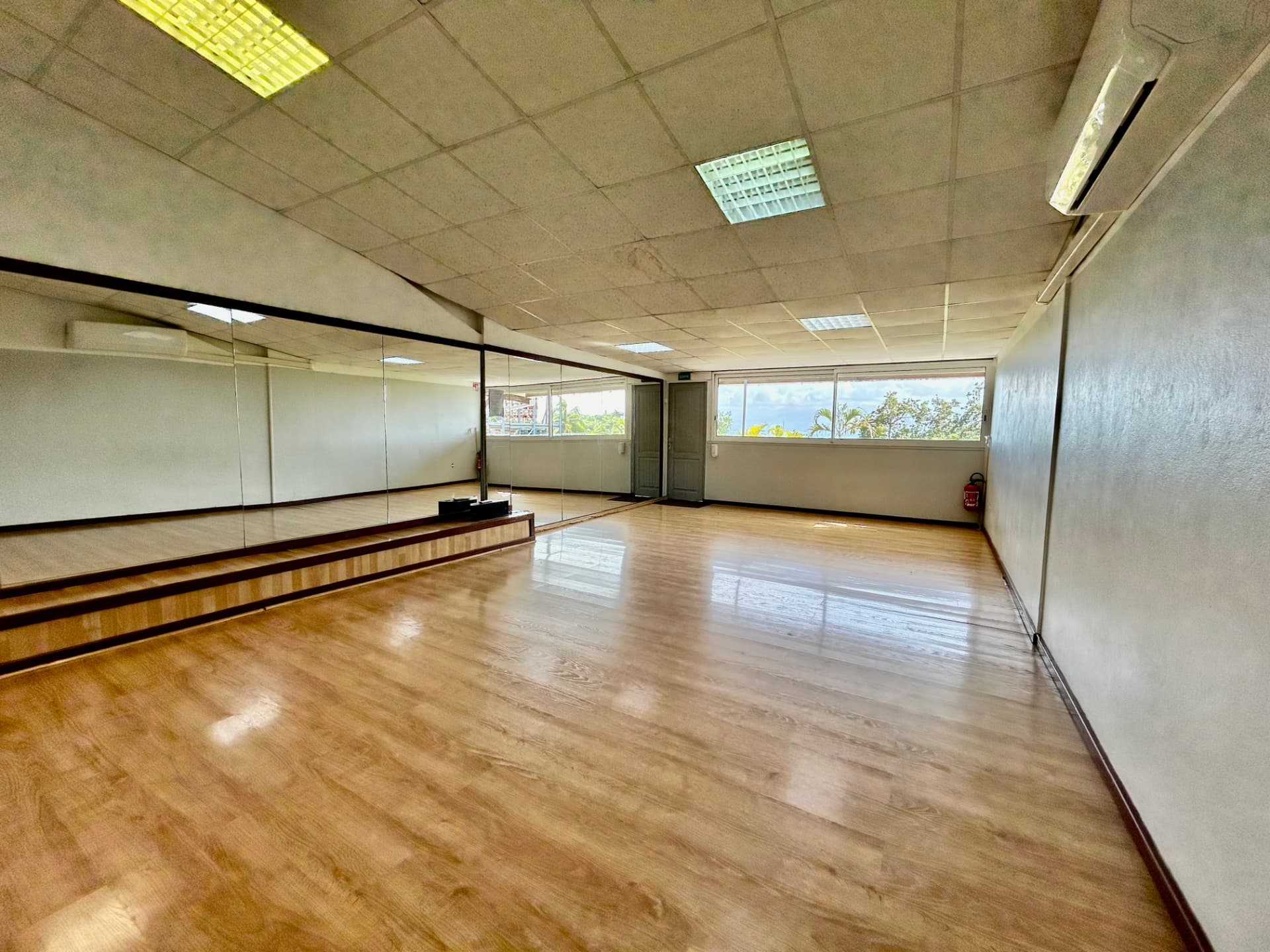 Salle 2, vue vers les fenêtres et la végétation